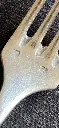 IMG_1351.webp
